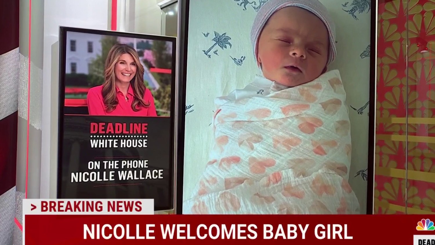 Nicolle Wallace revealed that her family is expecting another baby to be “delivered” after their first daughter was born via surrogacy: “My husband and I were absolutely thrilled.”